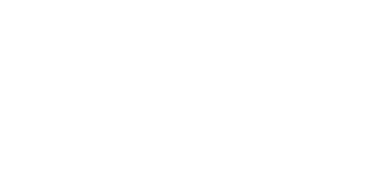 Anita Vos Logo